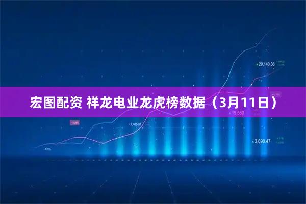 宏图配资 祥龙电业龙虎榜数据（3月11日）